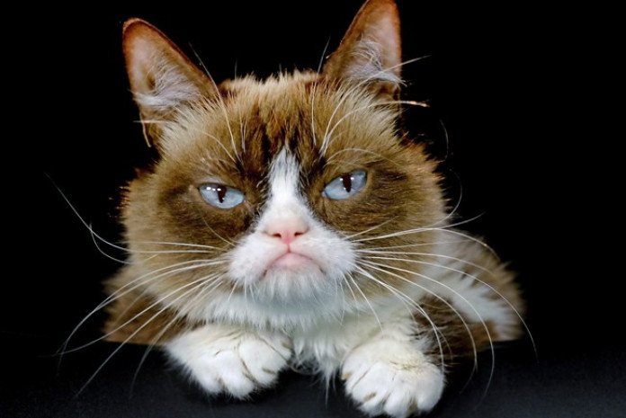 Grumpy Cat's scowl expressions was caused by her feline dwarfism condition and an underbite.